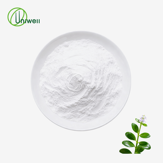 Andrographis Paniculata Extract Powder